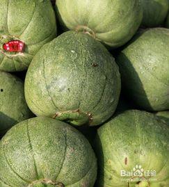 早晨空腹吃瓜,揭秘健康饮食新风尚