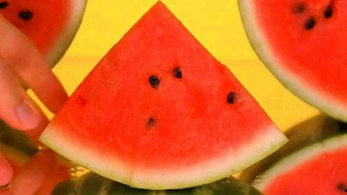 早晨空腹吃瓜,揭秘健康饮食新风尚  第2张