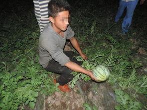 站着吃瓜的男人,揭秘现代都市新潮流  第2张