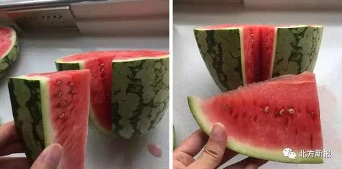 晶莹吃瓜全部视频  第3张