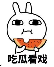 小言吃瓜了吗,小言吃瓜了吗？揭秘娱乐圈最新热点事件