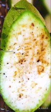 梦贝吃小瓜  第2张