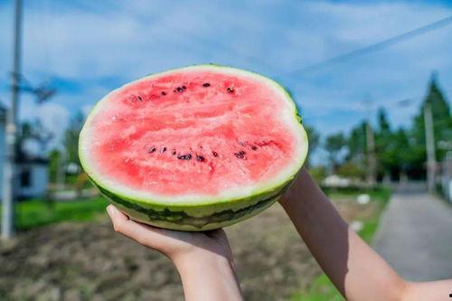 食堂吃瓜打卡,品味校园生活新风尚  第2张