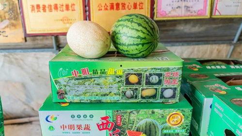 食堂吃瓜打卡,品味校园生活新风尚  第3张