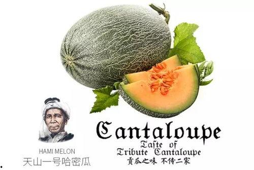 潮州吃瓜号,揭秘潮州美食背后的故事与风情  第2张