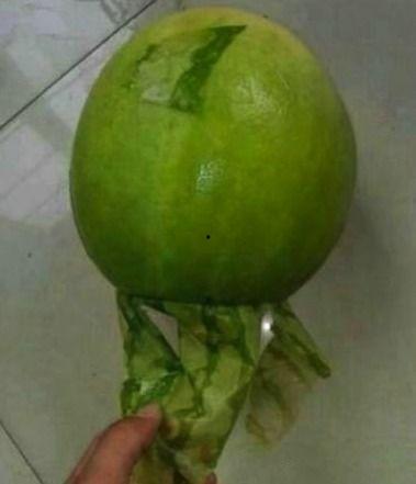 吃瓜事件最新每日更新  第3张