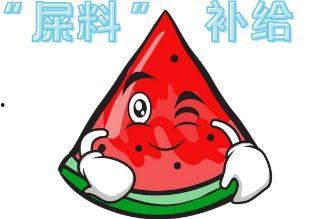 大型吃瓜现场搞笑,笑料横飞，笑不活了！  第3张