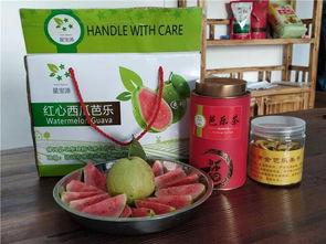 芭乐吃瓜视频,揭秘热门视频背后的故事与笑料 第2张 芭乐吃瓜视频,揭秘热门视频背后的故事与笑料 第2张