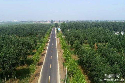 安新徐水吃瓜,一场别开生面的“吃瓜”盛宴  第3张