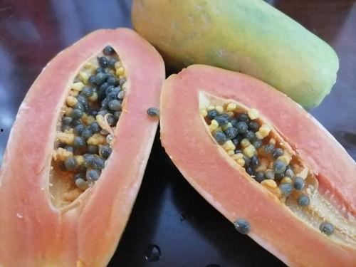 全线吃瓜,揭秘娱乐圈的幕后故事  第2张