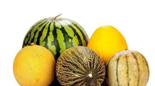 吃雷瓜有那些好处,揭秘吃雷瓜的五大益处 第2张 吃雷瓜有那些好处,揭秘吃雷瓜的五大益处 第2张