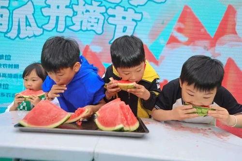 大型吵架吃瓜现场  第3张