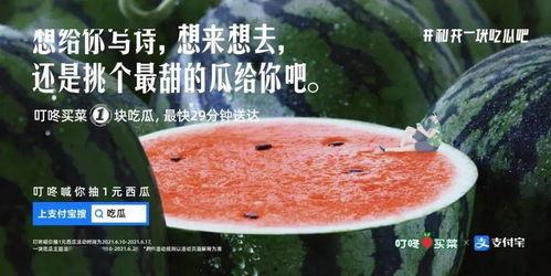 关于明星吃瓜的文案,揭秘明星幕后故事