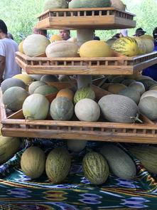 新疆直播吃瓜,一场视觉盛宴与地域文化的碰撞