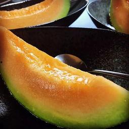 韩国为什么吃瓜