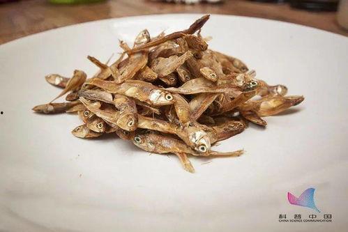 讨厌小鱼干吃瓜 第1张 讨厌小鱼干吃瓜 第1张