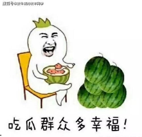 房间里吃瓜,揭秘房间里独特的吃瓜文化  第1张