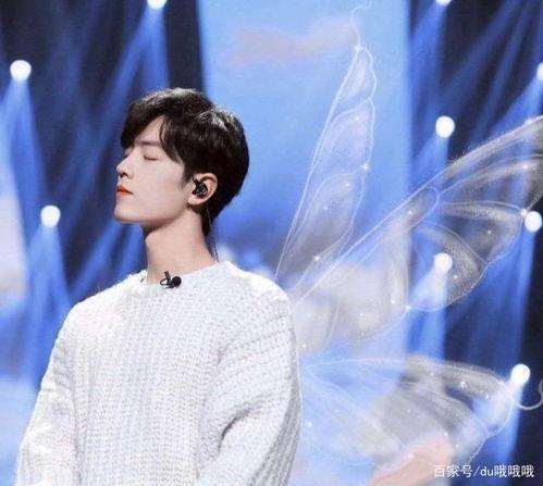 吃瓜肖战粉丝公益,瓜田里的爱心接力  第1张