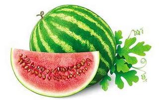 冬天可以吃卜瓜吗,冬季适宜食用卜瓜的养生之道 第1张 冬天可以吃卜瓜吗,冬季适宜食用卜瓜的养生之道 第1张