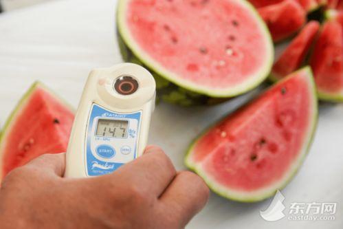 上海李莹莹吃瓜,揭秘网络舆论背后的真相