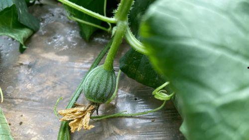 朱儿吃瓜,揭秘娱乐圈背后的那些事儿