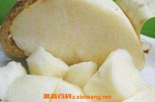 吃土瓜有什么作用,养生保健的多重益处揭秘  第1张